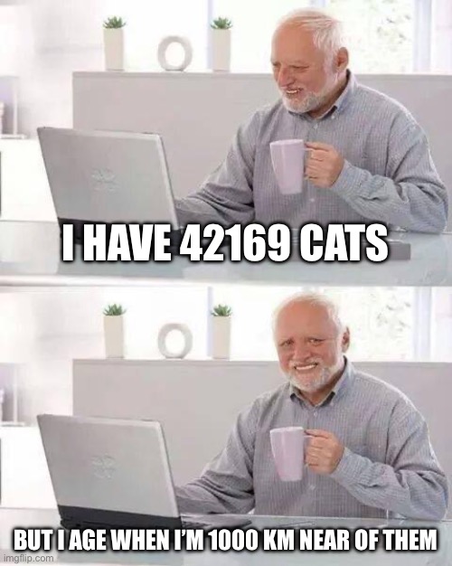 Hide the Pain Harold | I HAVE 42169 CATS; BUT I AGE WHEN I’M 1000 KM NEAR OF THEM | image tagged in memes,hide the pain harold | made w/ Imgflip meme maker