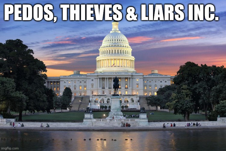 Washington DC swamp | PEDOS, THIEVES & LIARS INC. | image tagged in washington dc swamp | made w/ Imgflip meme maker