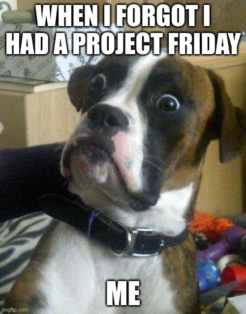 Nataly. | WHEN I FORGOT I HAD A PROJECT FRIDAY; ME | image tagged in surprised dog | made w/ Imgflip meme maker