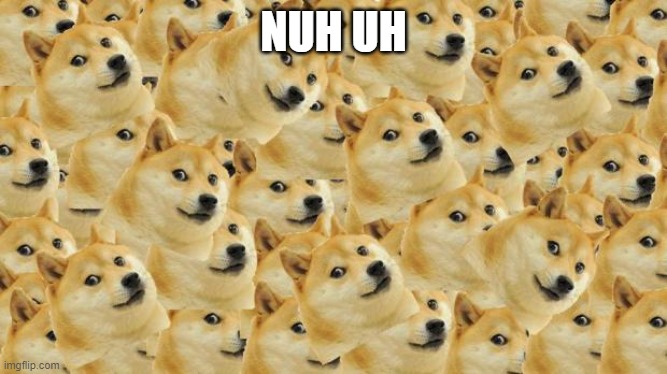 Multi Doge Meme | NUH UH | image tagged in memes,multi doge | made w/ Imgflip meme maker