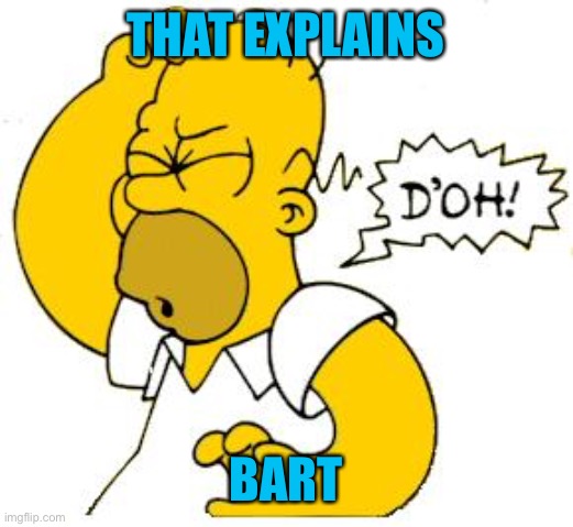 homer doh | THAT EXPLAINS BART | image tagged in homer doh | made w/ Imgflip meme maker
