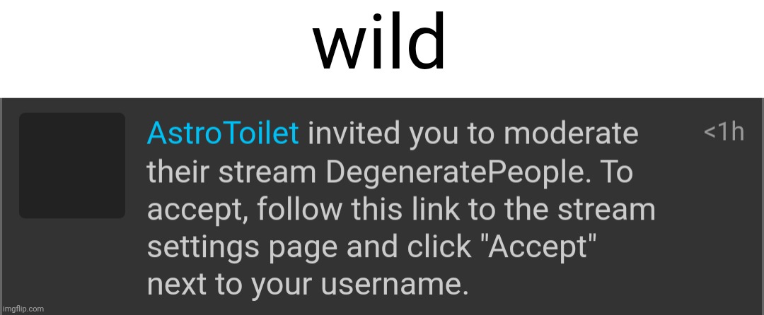 i have more discord notifs than imgflip smh | wild | made w/ Imgflip meme maker