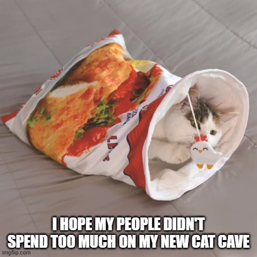 memes by Brad - a new cat cave - humor | I HOPE MY PEOPLE DIDN'T SPEND TOO MUCH ON MY NEW CAT CAVE | image tagged in funny,cats,kittens,cave,funny cat memes,humor | made w/ Imgflip meme maker