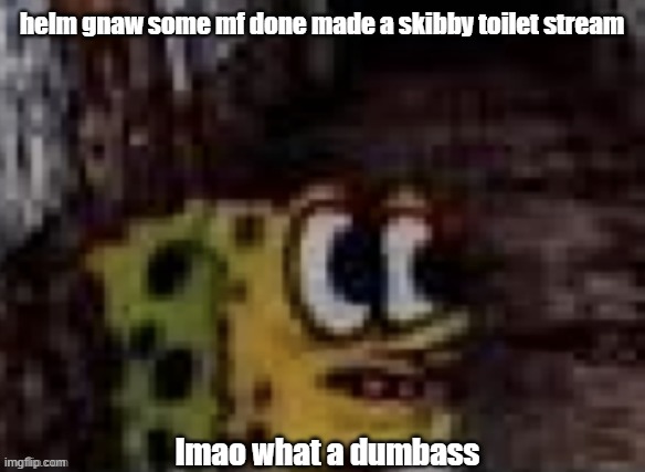 spunch bop trauma | helm gnaw some mf done made a skibby toilet stream; lmao what a dumbass | image tagged in spunch bop trauma | made w/ Imgflip meme maker