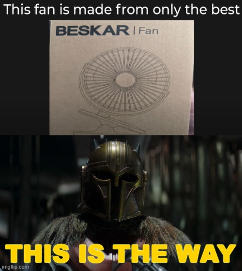 Beskar fan | THIS IS THE WAY | image tagged in the armorer,the mandalorian,beskar,mandalorian | made w/ Imgflip meme maker