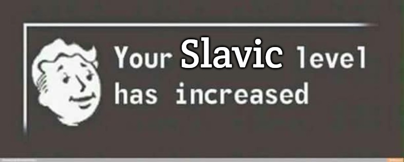 Your level has increased | Slavic | image tagged in your level has increased,slavic | made w/ Imgflip meme maker