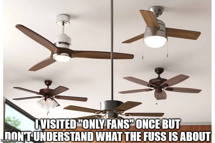 Only Fans | I VISITED "ONLY FANS" ONCE BUT DON'T UNDERSTAND WHAT THE FUSS IS ABOUT | image tagged in onlyfans | made w/ Imgflip meme maker