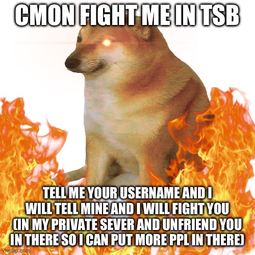 Fight me | CMON FIGHT ME IN TSB; TELL ME YOUR USERNAME AND I WILL TELL MINE AND I WILL FIGHT YOU (IN MY PRIVATE SEVER AND UNFRIEND YOU IN THERE SO I CAN PUT MORE PPL IN THERE) | image tagged in fight me | made w/ Imgflip meme maker
