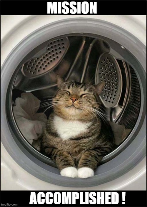 Goal: To Get Cat Hairs On Everything ! | MISSION; ACCOMPLISHED ! | image tagged in cats,washing machine,hair,mission accomplished | made w/ Imgflip meme maker