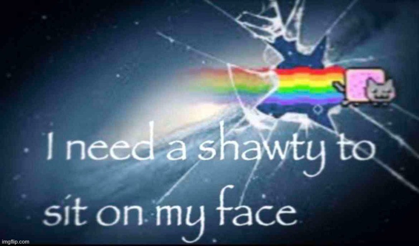 I need a shawty to sit on my face | image tagged in i need a shawty to sit on my face | made w/ Imgflip meme maker