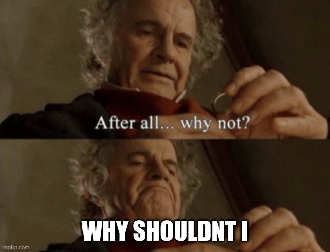 After all.. why not? | WHY SHOULDNT I | image tagged in after all why not | made w/ Imgflip meme maker