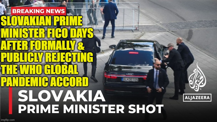Bend the knee or die | SLOVAKIAN PRIME
MINISTER FICO DAYS
AFTER FORMALLY &; PUBLICLY REJECTING
THE WHO GLOBAL
PANDEMIC ACCORD | image tagged in the who,health care,cdc,assassination,pandemic,prime minister | made w/ Imgflip meme maker