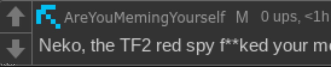 made w/ Imgflip meme maker