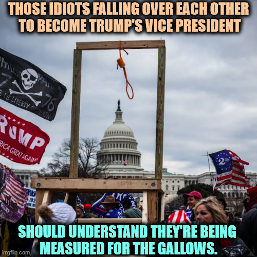 Ask Mike Pence what it feels like. | THOSE IDIOTS FALLING OVER EACH OTHER 
TO BECOME TRUMP'S VICE PRESIDENT; SHOULD UNDERSTAND THEY'RE BEING 
MEASURED FOR THE GALLOWS. | image tagged in capitol riot gallows noose pence,trump,vice president,gallows,noose,hanging | made w/ Imgflip meme maker