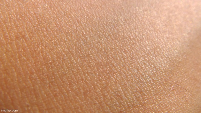 Skin | made w/ Imgflip meme maker