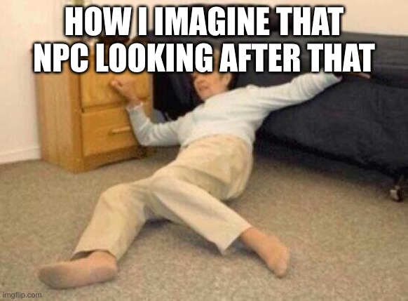 woman falling in shock | HOW I IMAGINE THAT NPC LOOKING AFTER THAT | image tagged in woman falling in shock | made w/ Imgflip meme maker