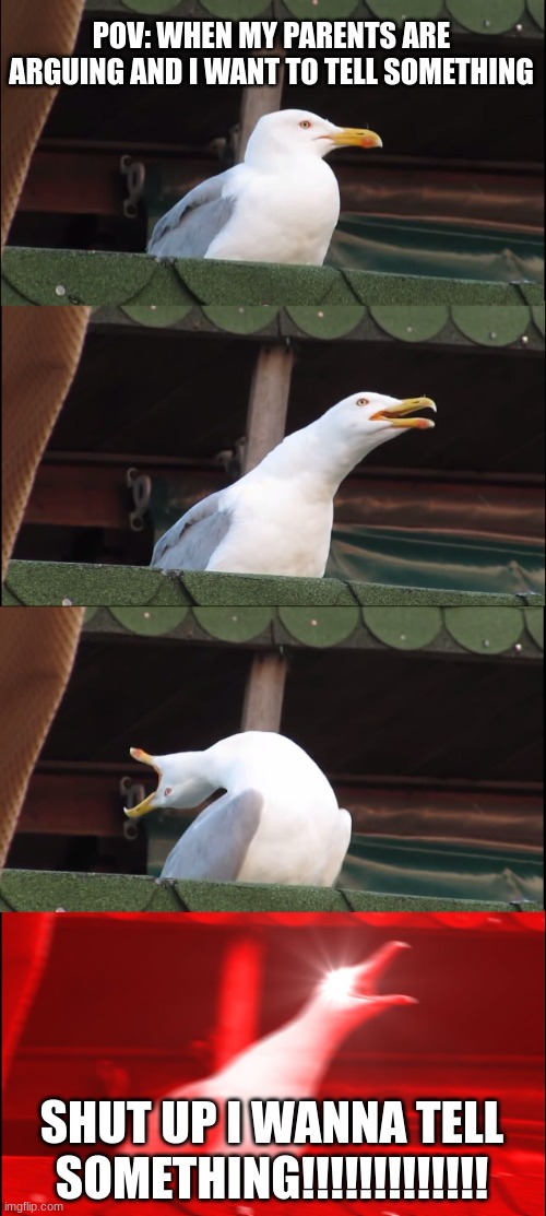 Inhaling Seagull | POV: WHEN MY PARENTS ARE ARGUING AND I WANT TO TELL SOMETHING; SHUT UP I WANNA TELL SOMETHING!!!!!!!!!!!!! | image tagged in memes,inhaling seagull | made w/ Imgflip meme maker