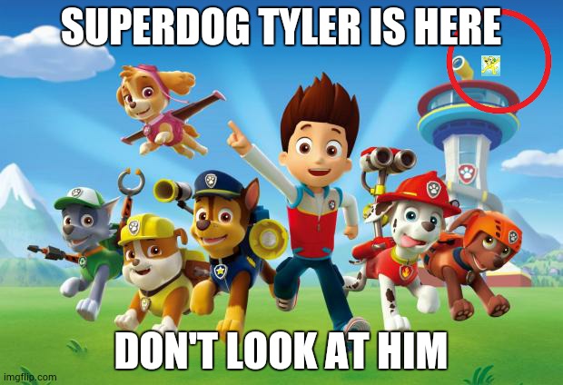Super dog tyler | SUPERDOG TYLER IS HERE; DON'T LOOK AT HIM | image tagged in paw patrol,superdogtyler | made w/ Imgflip meme maker