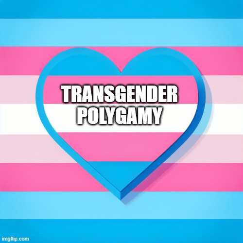 Marital Legal Rights: Androgyny Communism may be Polygamy for Swingers | TRANSGENDER
POLYGAMY | image tagged in cultural marxism,social justice warrior,democratic socialism,orgy,communism,transgender | made w/ Imgflip meme maker