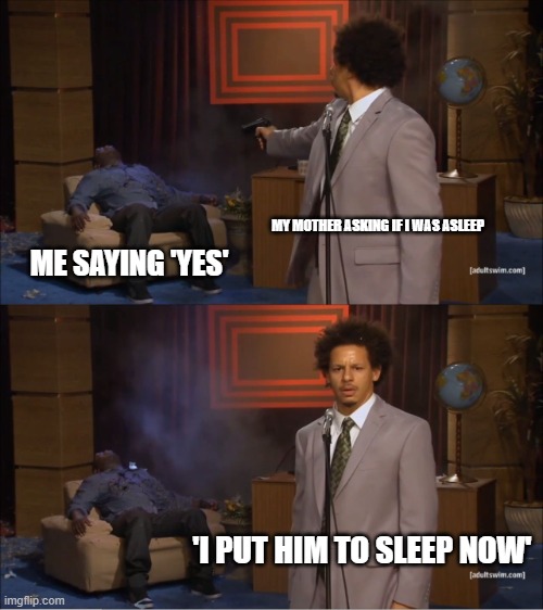 me at 4am (i didn't sleep) | MY MOTHER ASKING IF I WAS ASLEEP; ME SAYING 'YES'; 'I PUT HIM TO SLEEP NOW' | image tagged in memes,who killed hannibal | made w/ Imgflip meme maker