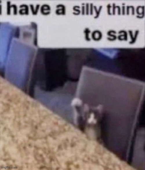 made w/ Imgflip meme maker