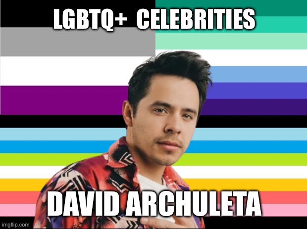 LGBTQ+ Celebrities: David Archuleta | LGBTQ+  CELEBRITIES; DAVID ARCHULETA | image tagged in asexual,gay,queer,david archuleta,lgbtq,american idol | made w/ Imgflip meme maker