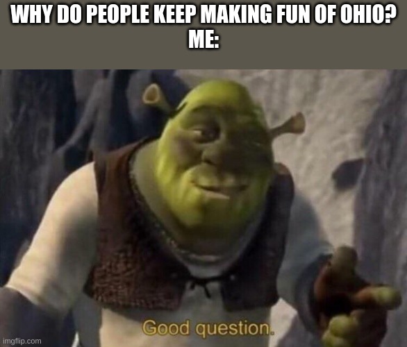 Shrek good question | WHY DO PEOPLE KEEP MAKING FUN OF OHIO?
ME: | image tagged in shrek good question | made w/ Imgflip meme maker