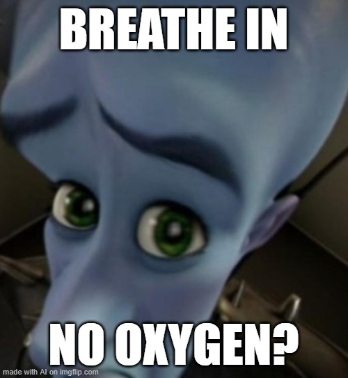 ?? | BREATHE IN; NO OXYGEN? | image tagged in megamind no bitches | made w/ Imgflip meme maker