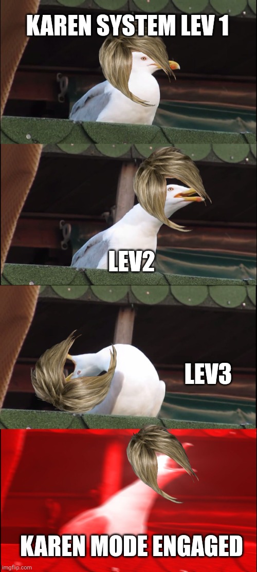 Inhaling Seagull | KAREN SYSTEM LEV 1; LEV2; LEV3; KAREN MODE ENGAGED | image tagged in memes,inhaling seagull | made w/ Imgflip meme maker