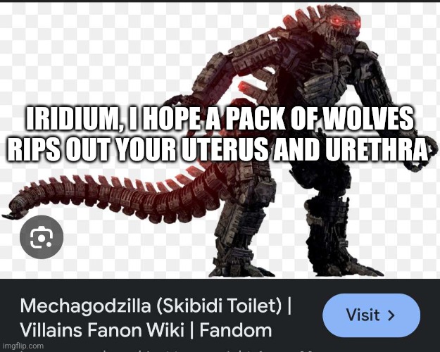 MechaGodzilla in Skibidi Toilet | IRIDIUM, I HOPE A PACK OF WOLVES RIPS OUT YOUR UTERUS AND URETHRA | image tagged in mechagodzilla in skibidi toilet | made w/ Imgflip meme maker