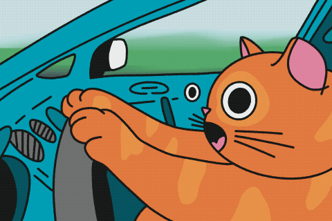 High Quality Cat iz driving Blank Meme Template