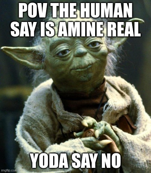 ASKING YODA PART 1 | POV THE HUMAN SAY IS AMINE REAL; YODA SAY NO | image tagged in memes,star wars yoda | made w/ Imgflip meme maker