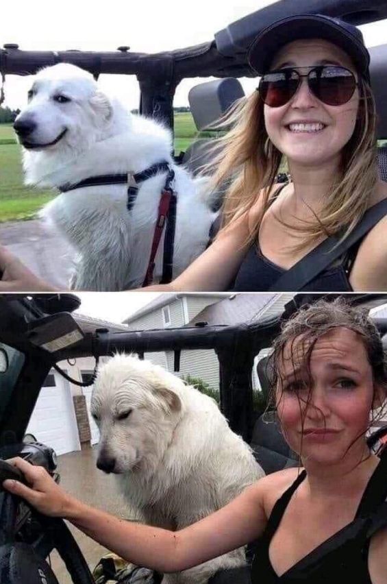 First Car Ride Blank Meme Template