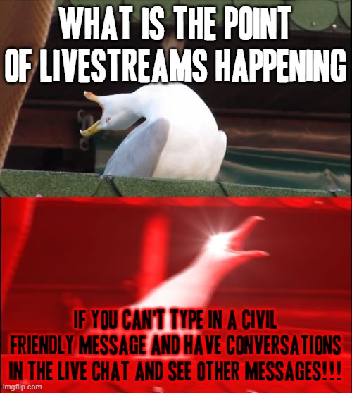 God technology can be so stupid sometimes | WHAT IS THE POINT OF LIVESTREAMS HAPPENING; IF YOU CAN'T TYPE IN A CIVIL FRIENDLY MESSAGE AND HAVE CONVERSATIONS IN THE LIVE CHAT AND SEE OTHER MESSAGES!!! | image tagged in screaming seagull,memes,relatable,youtube,scumbag youtube,assholes | made w/ Imgflip meme maker