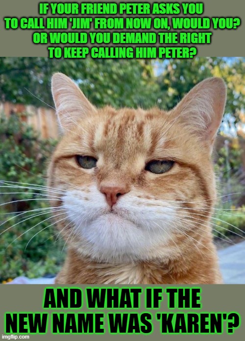 This #lolcat wonders why some are transphobic and demand more rights than others | IF YOUR FRIEND PETER ASKS YOU 
TO CALL HIM 'JIM' FROM NOW ON, WOULD YOU?
OR WOULD YOU DEMAND THE RIGHT
TO KEEP CALLING HIM PETER? AND WHAT IF THE NEW NAME WAS 'KAREN'? | image tagged in transphobic,lolcat,human rights,lgbtq | made w/ Imgflip meme maker