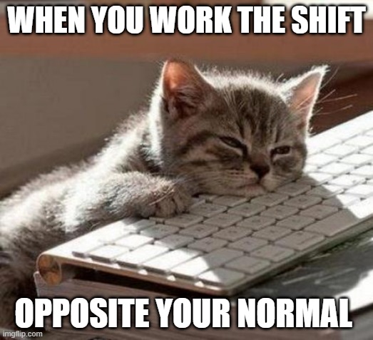 tired cat | WHEN YOU WORK THE SHIFT; OPPOSITE YOUR NORMAL | image tagged in tired cat | made w/ Imgflip meme maker