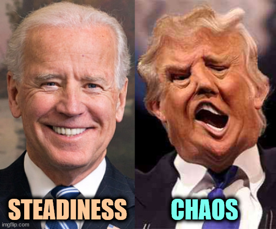 How are your nerves? | STEADINESS; CHAOS | image tagged in biden solid stable trump acid drugs,biden,steady,trump,chaos | made w/ Imgflip meme maker