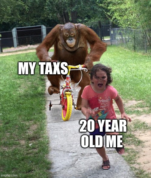 Life be like | MY TAXS; 20 YEAR OLD ME | image tagged in orangutan chasing girl on a tricycle | made w/ Imgflip meme maker