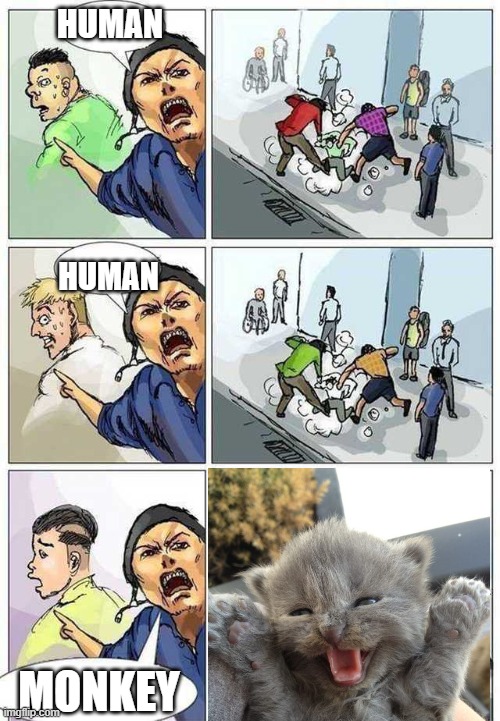 human human monke | HUMAN; HUMAN; MONKEY | image tagged in thief murderer | made w/ Imgflip meme maker