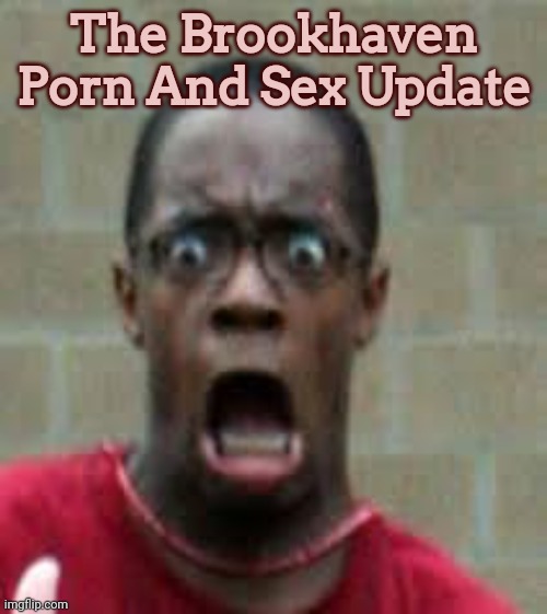 Never | The Brookhaven Porn And Sex Update | image tagged in scared black guy,roblox | made w/ Imgflip meme maker