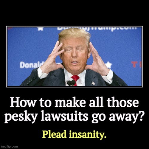 How to make all those pesky lawsuits go away? | Plead insanity. | image tagged in funny,demotivationals,trump,lawsuit,insanity | made w/ Imgflip demotivational maker