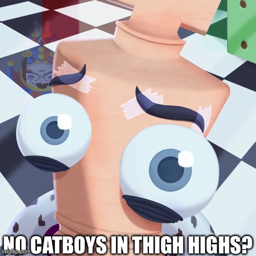 :] | NO CATBOYS IN THIGH HIGHS? | image tagged in no kinger,no bitches | made w/ Imgflip meme maker