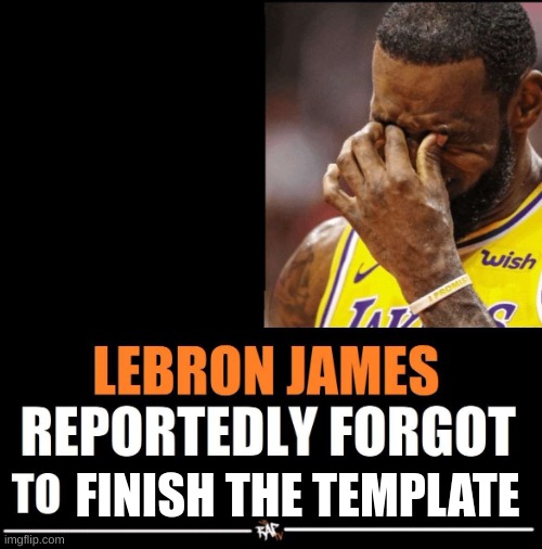 next level stupidity | FINISH THE TEMPLATE | image tagged in lebron james reportedly forgot to | made w/ Imgflip meme maker