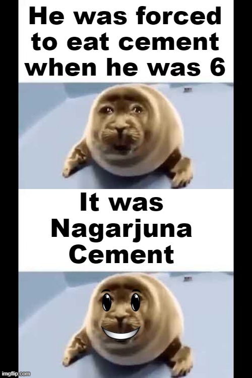 i love nagarjuna cement | He was forced to eat cement when he was 6; It was Nagarjuna Cement | image tagged in he was forced to eat cement | made w/ Imgflip meme maker