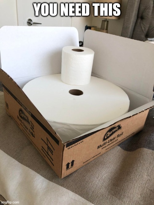 Big roll of toilet paper | YOU NEED THIS | image tagged in big roll of toilet paper | made w/ Imgflip meme maker