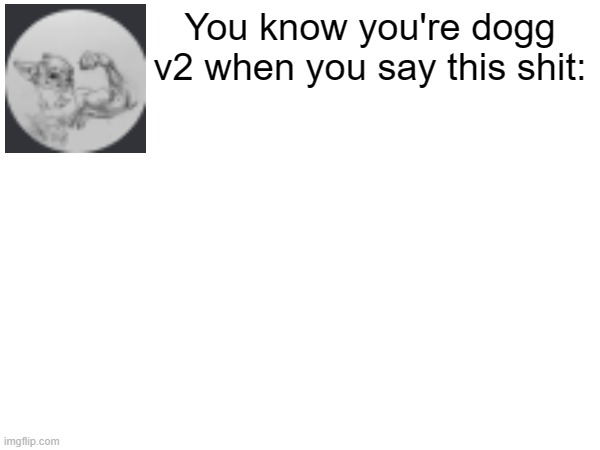 Yknow ur dogg when you say this | You know you're dogg v2 when you say this shit: | image tagged in rekt w/text | made w/ Imgflip meme maker