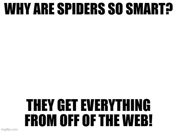 A joke I made up | WHY ARE SPIDERS SO SMART? THEY GET EVERYTHING FROM OFF OF THE WEB! | image tagged in jokes,i hope i catch a good meme,funny,cool | made w/ Imgflip meme maker
