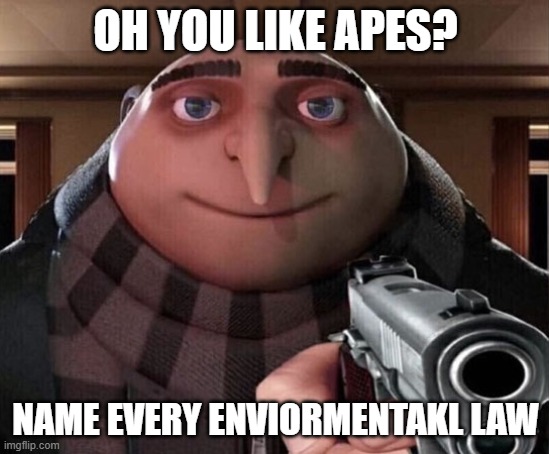 Gru Gun | OH YOU LIKE APES? NAME EVERY ENVIORMENTAKL LAW | image tagged in gru gun | made w/ Imgflip meme maker