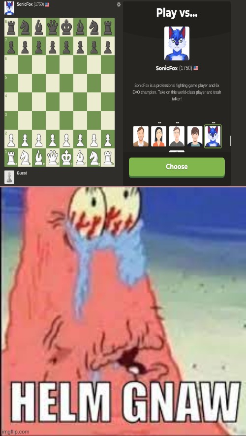 HELM GNAW | image tagged in helm gnaw | made w/ Imgflip meme maker