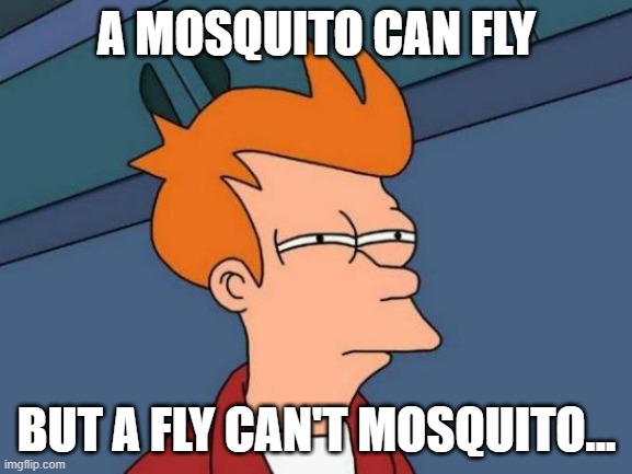 Futurama Fry | A MOSQUITO CAN FLY; BUT A FLY CAN'T MOSQUITO... | image tagged in memes,futurama fry | made w/ Imgflip meme maker